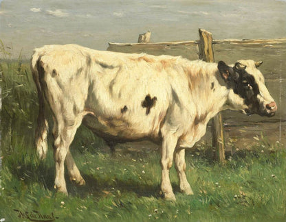 Jonge stier - by Johannes Hubertus Leonardus de Haas