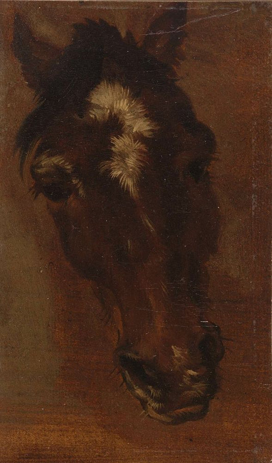 Paardenhoofd - by Henriëtte Ronner-Knip