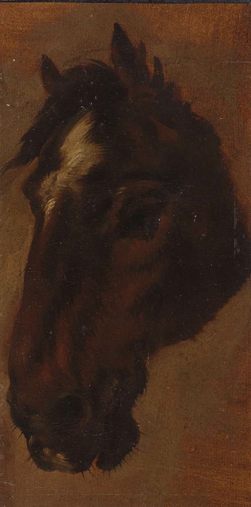 Paardenhoofd - by Henriëtte Ronner-Knip