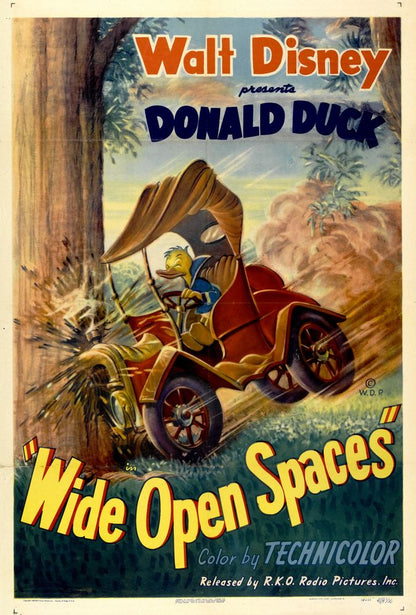 Wide Open Spaces (RKO, 1947).- Movie Poster Reprint