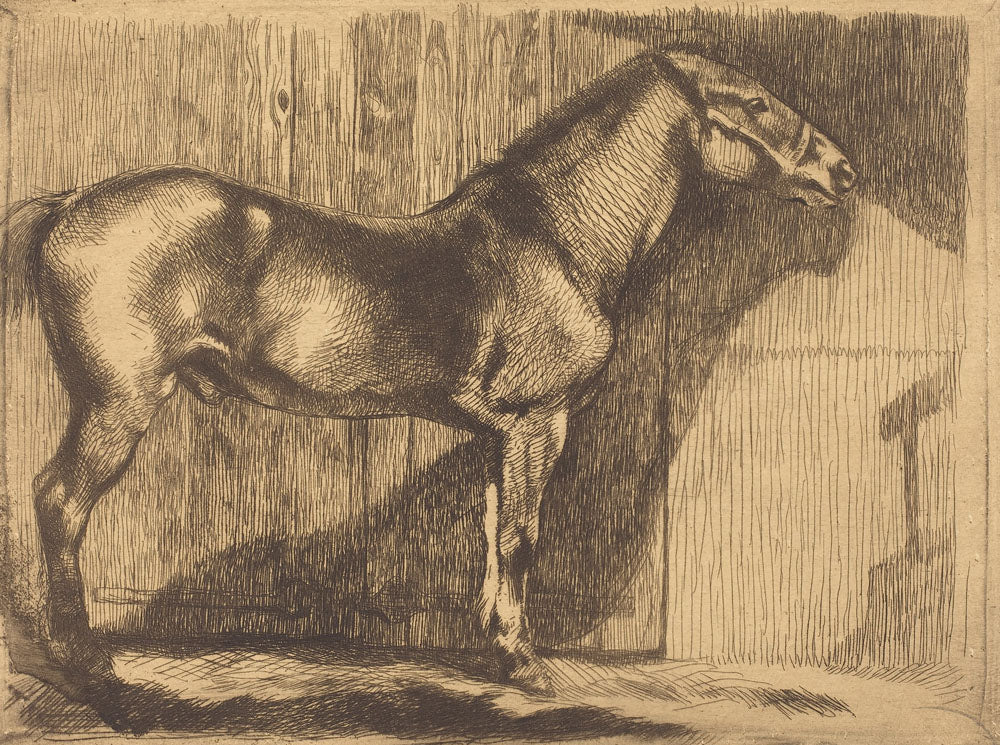 Pony (Le poney) - by Paul-Albert Besnard