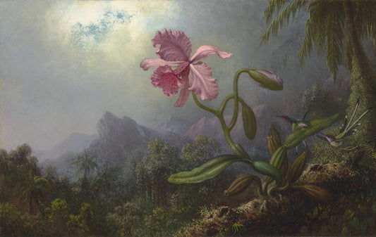 Two Hummingbirds with an Orchid by Martin Johnson Heade