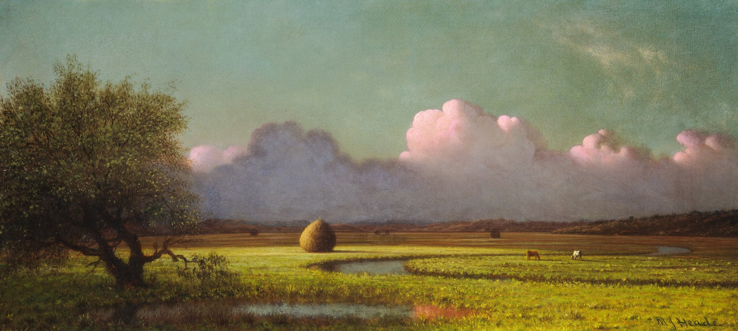 Sunlight and Shadow: The Newbury Marshes by Martin Johnson Heade