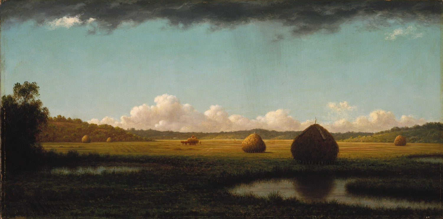 Summer Showers by Martin Johnson Heade