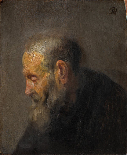 Study of an Old Man in Profile by Rembrandt