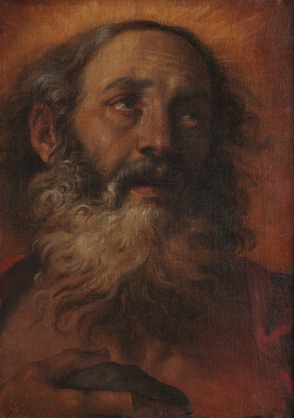 St. Jerome by Annibale Carracci