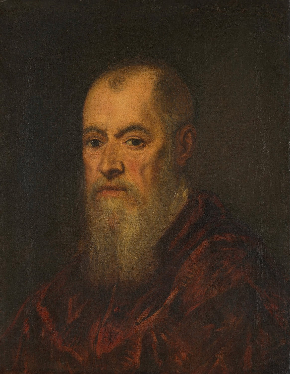 Portret van een man met een rode mantel by Tintoretto