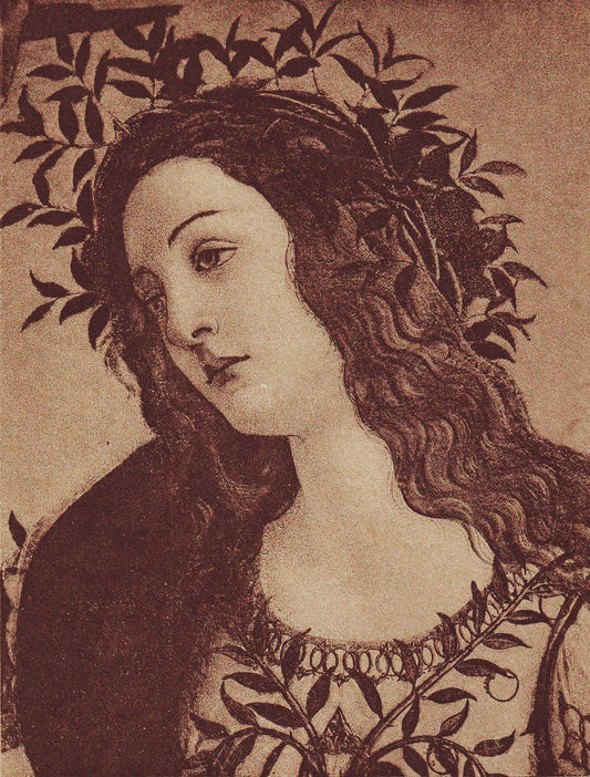 Pallas by Sandro Botticelli