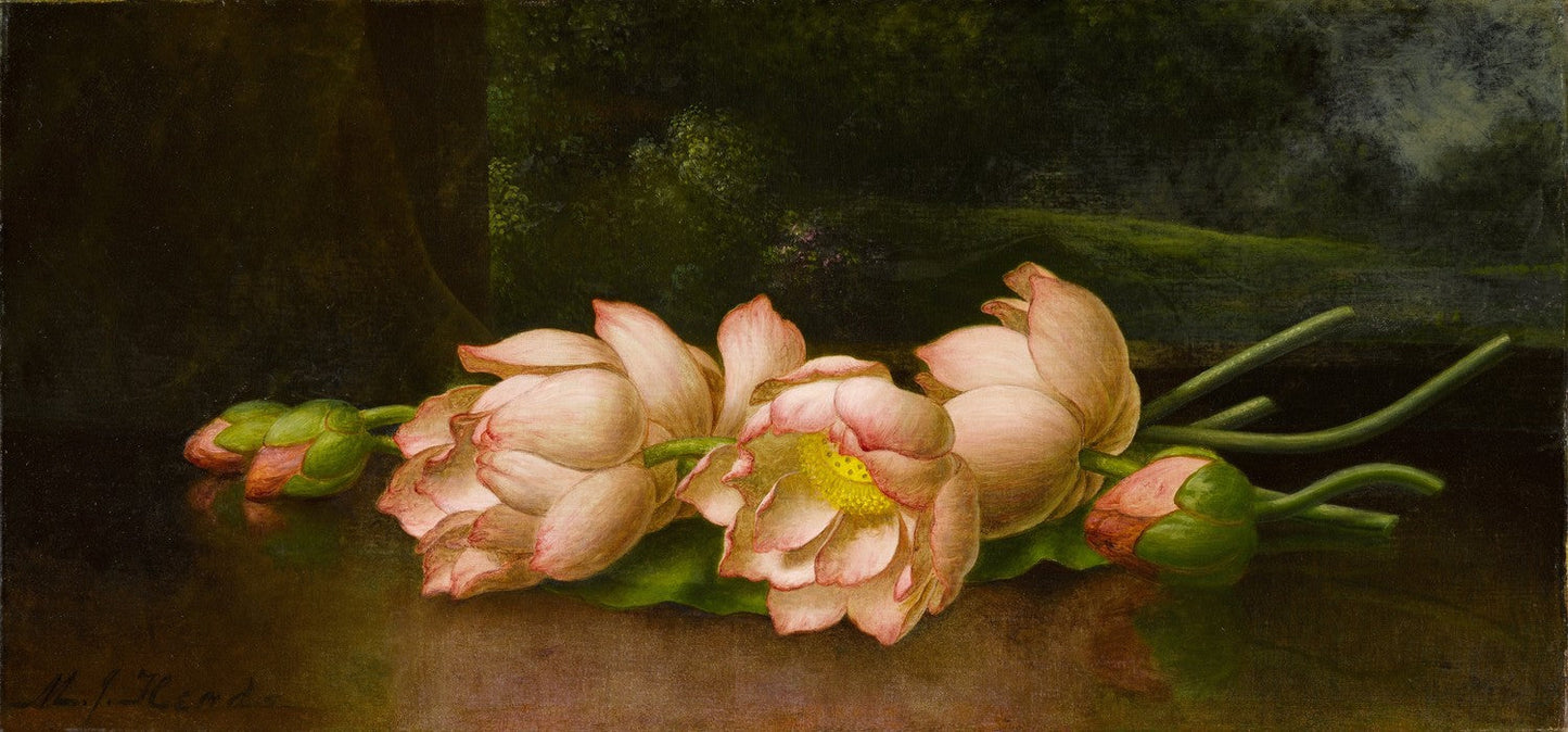 Lotus Flowers: A Landscape Painting in the Background by Martin Johnson Heade