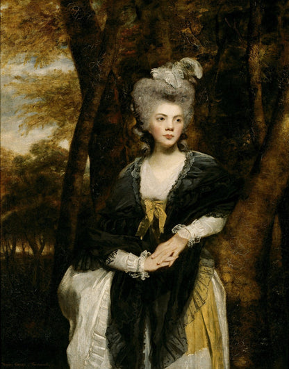 Lady Frances Finch by Joshua Reynolds