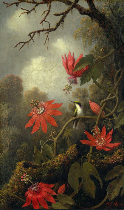 Hummingbird and Passionflowers by Martin Johnson Heade