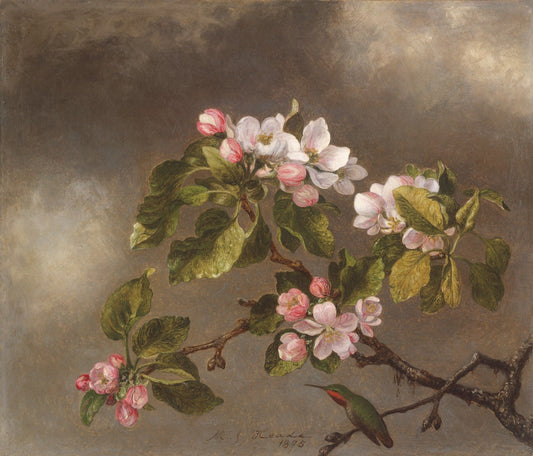 Hummingbird and Apple Blossoms by Martin Johnson Heade