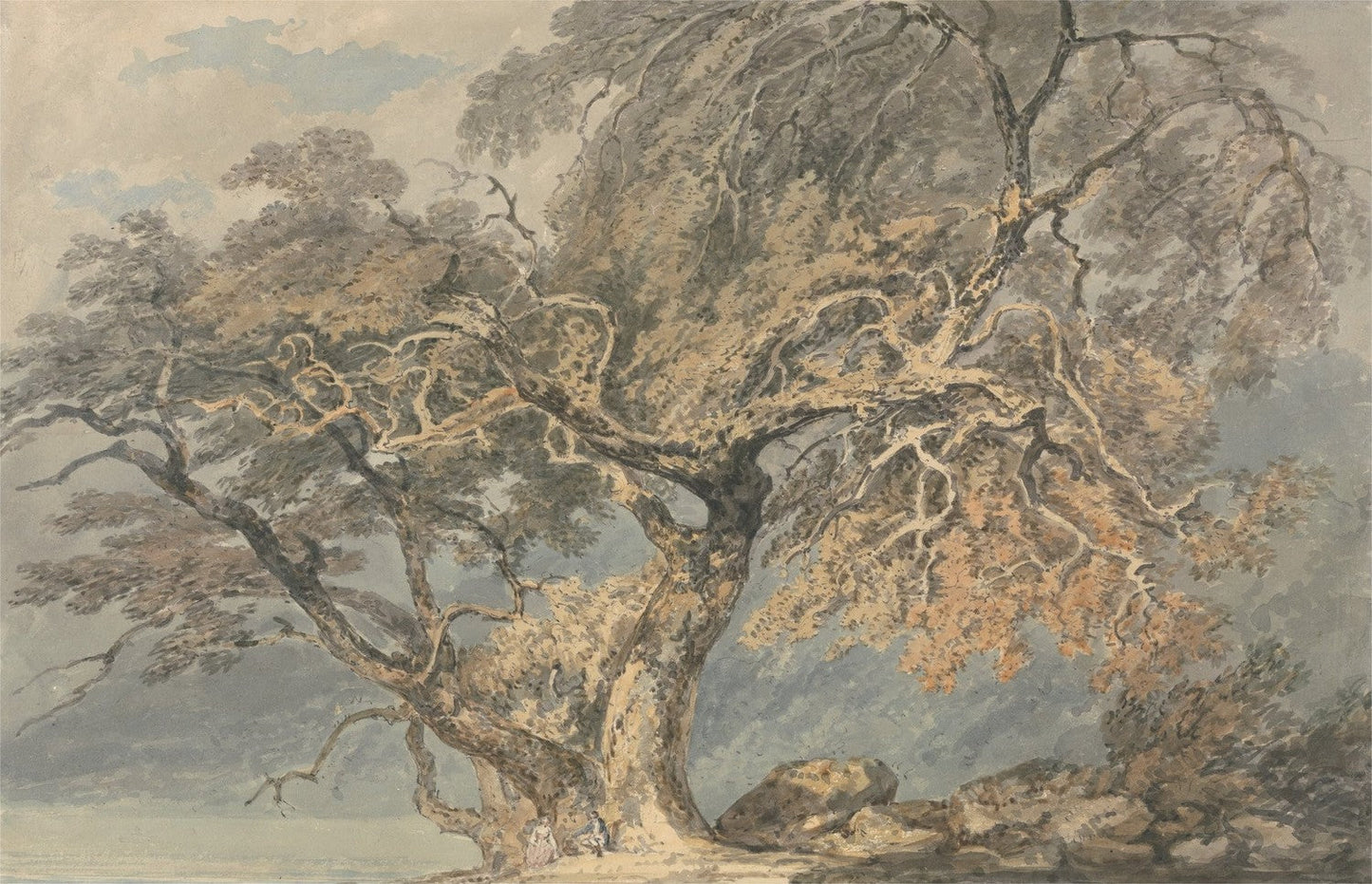 A Great Tree by J. M. W. Turner