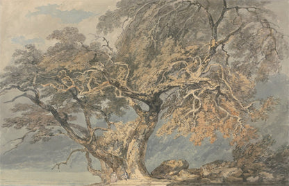 A Great Tree by J. M. W. Turner