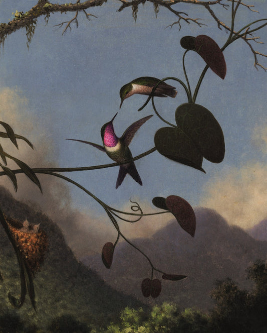 Amethyst Woodstar by Martin Johnson Heade