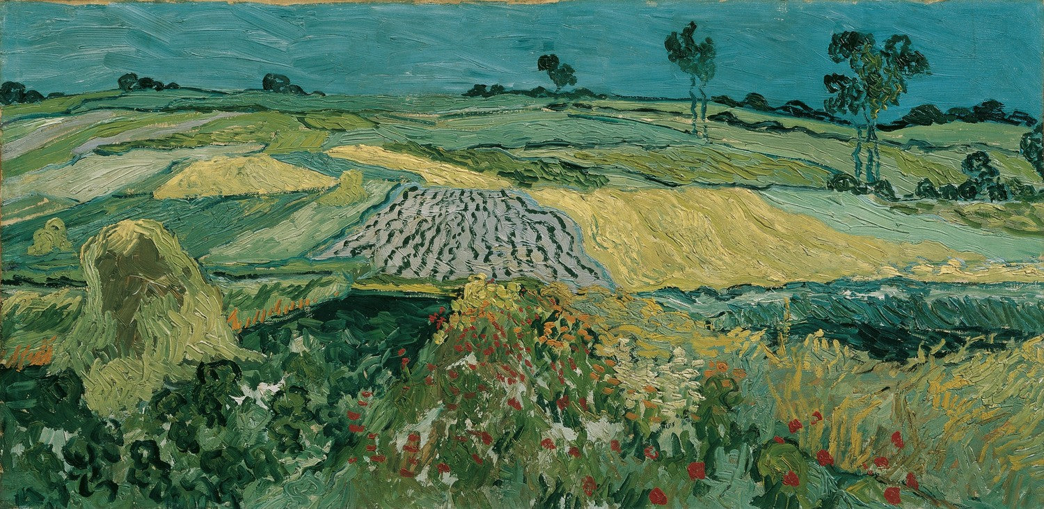 The Plain of Auvers by Vincent van Gogh