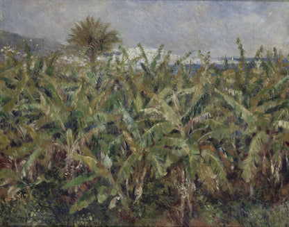 Field of Banana Trees by Pierre-Auguste Renoir