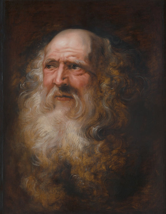 Estudio de un viejo by Peter Paul Rubens