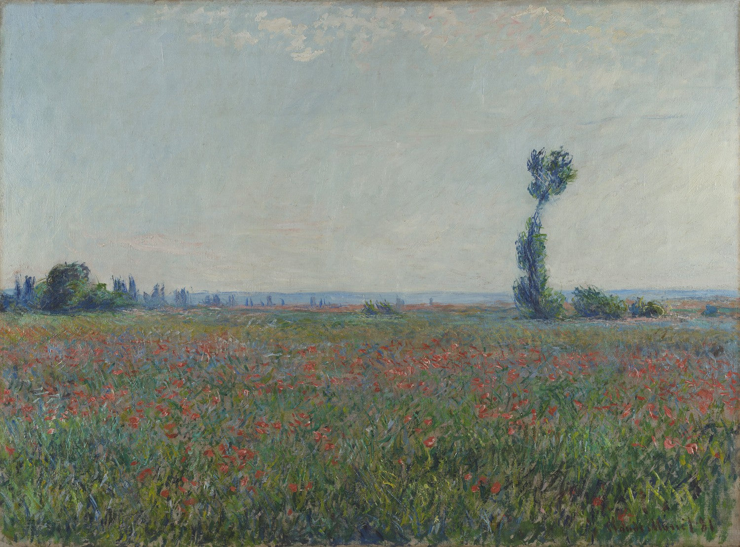 Champ de coquelicots by Claude Monet