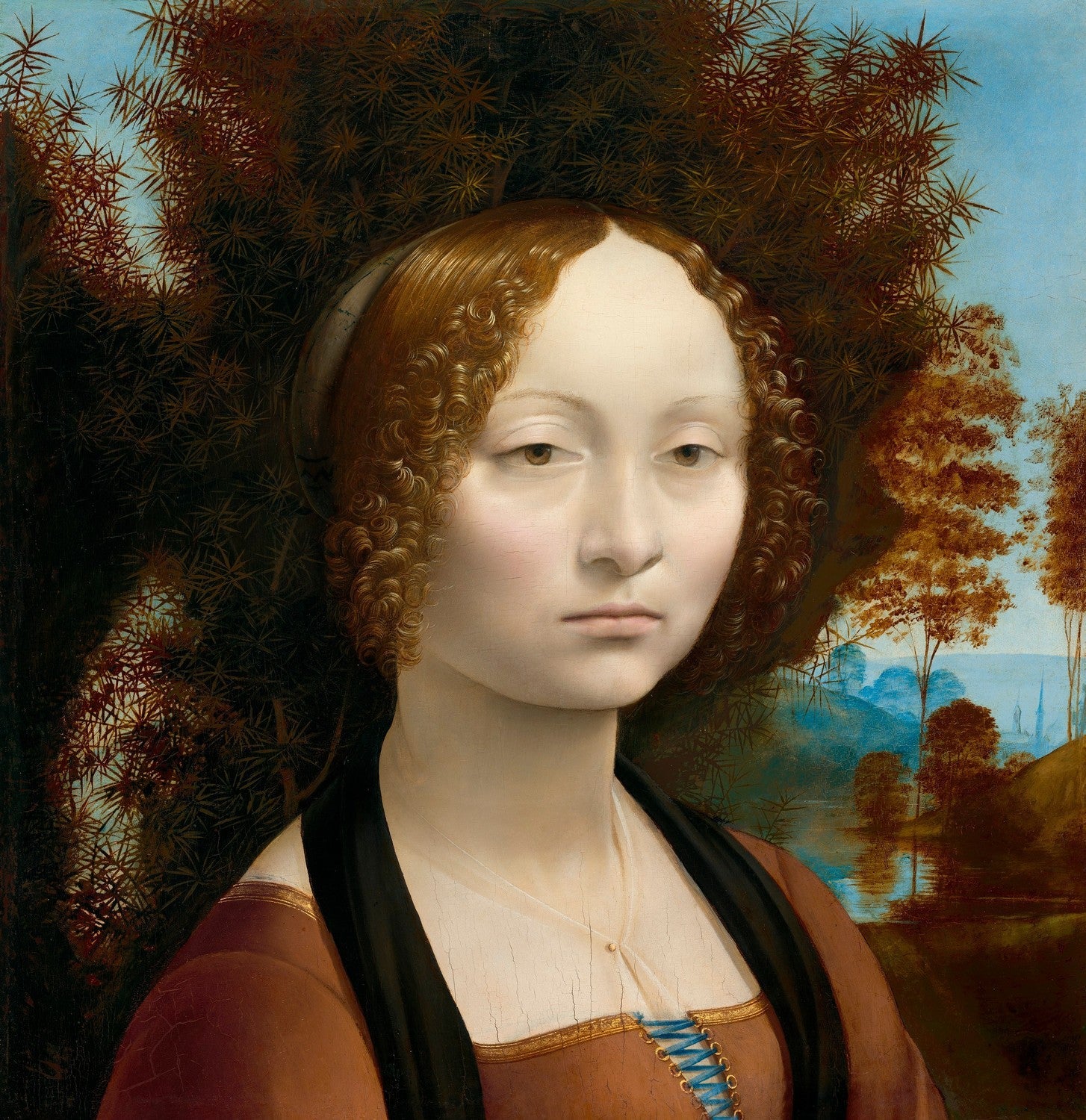 Ginevra de' Benci by Da Vinci