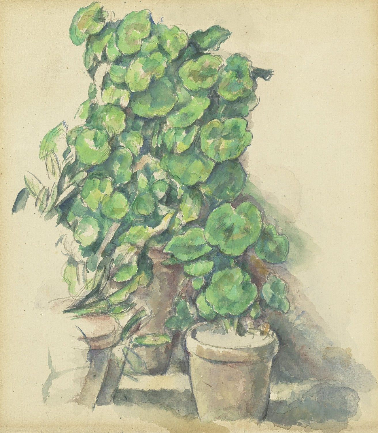 Geraniums by Paul Cézanne