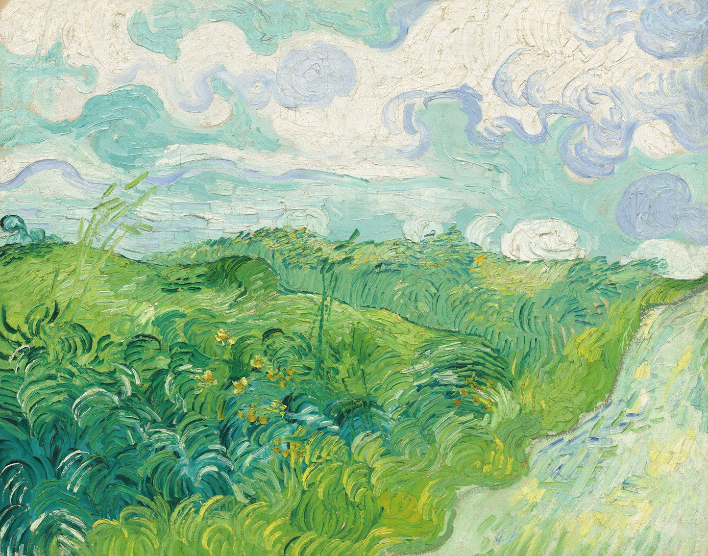 Green Wheat Fields, Auvers by Vincent van Gogh