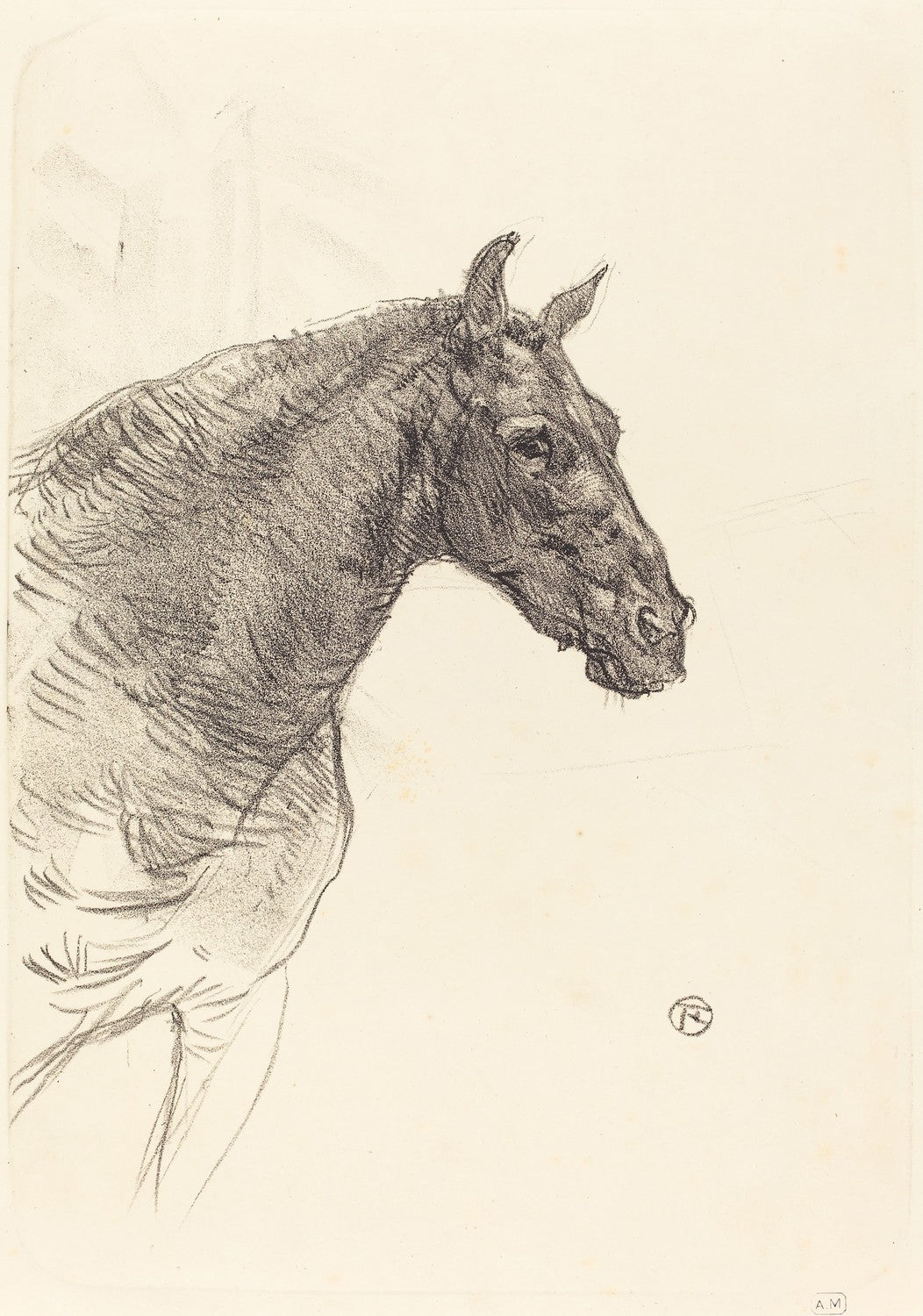 Old Horse (Le vieux cheval) by Henri de Toulouse-Lautrec