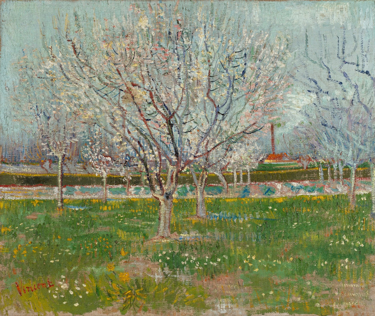 Orchard in Blossom (Apricot Trees) by Vincent van Gogh