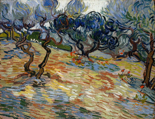 Olive Trees by Vincent van Gogh