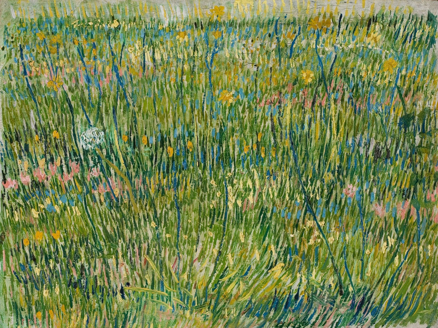 Patch of grass by Vincent van Gogh