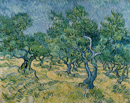 Olive grove by Vincent van Gogh