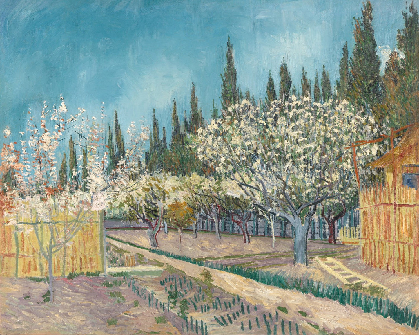 Orchard bordered by cypresses by Vincent van Gogh