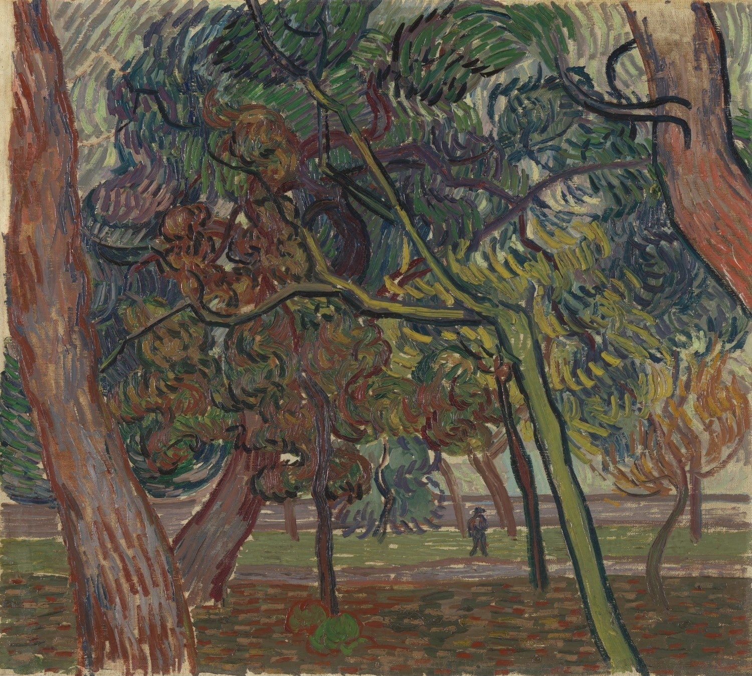 Pine trees in the garden of the asylum by Vincent van Gogh