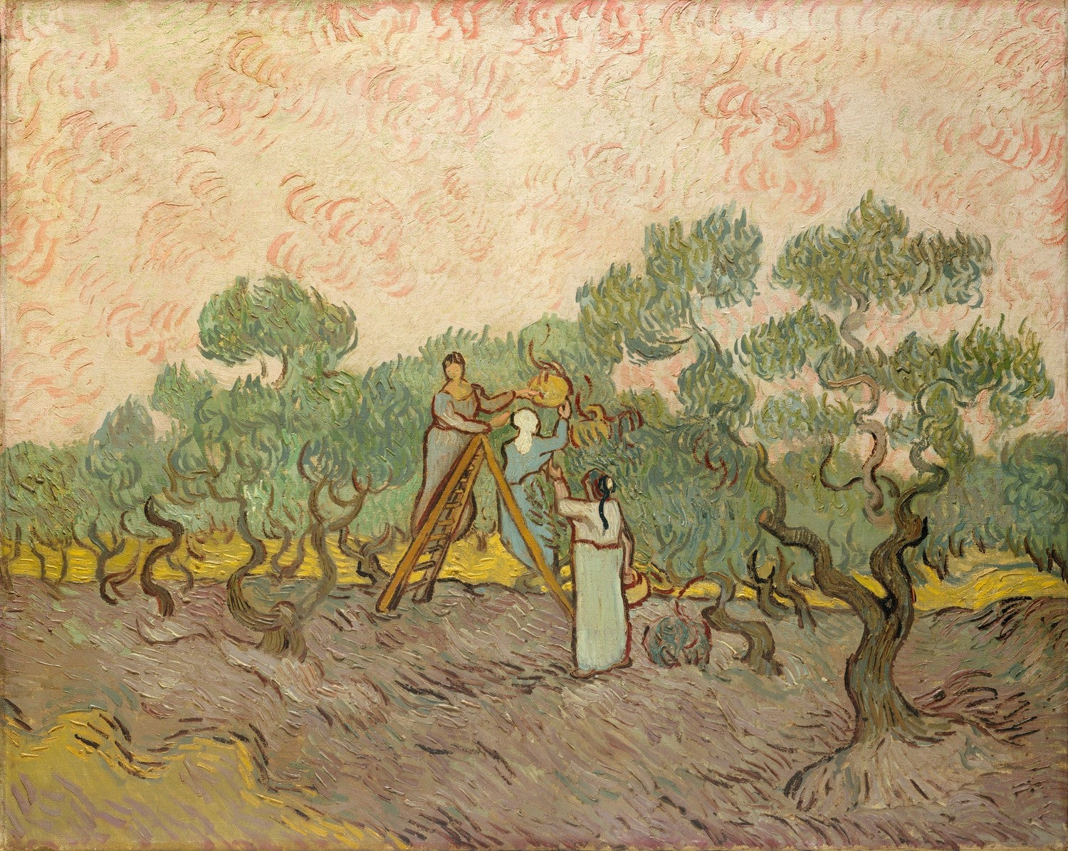 Women Picking Olives by Vincent van Gogh