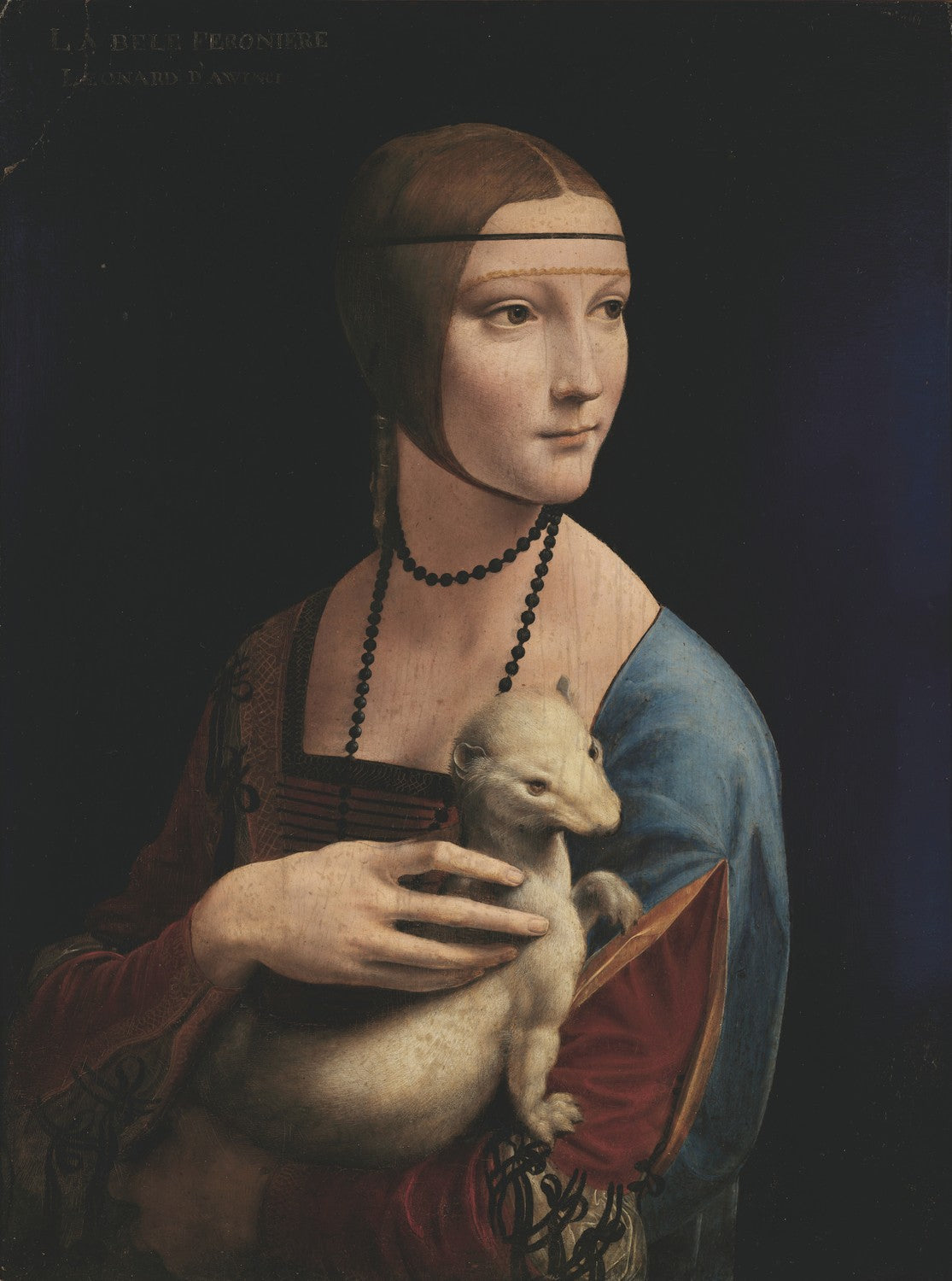 Lady with an Ermine by Da Vinci