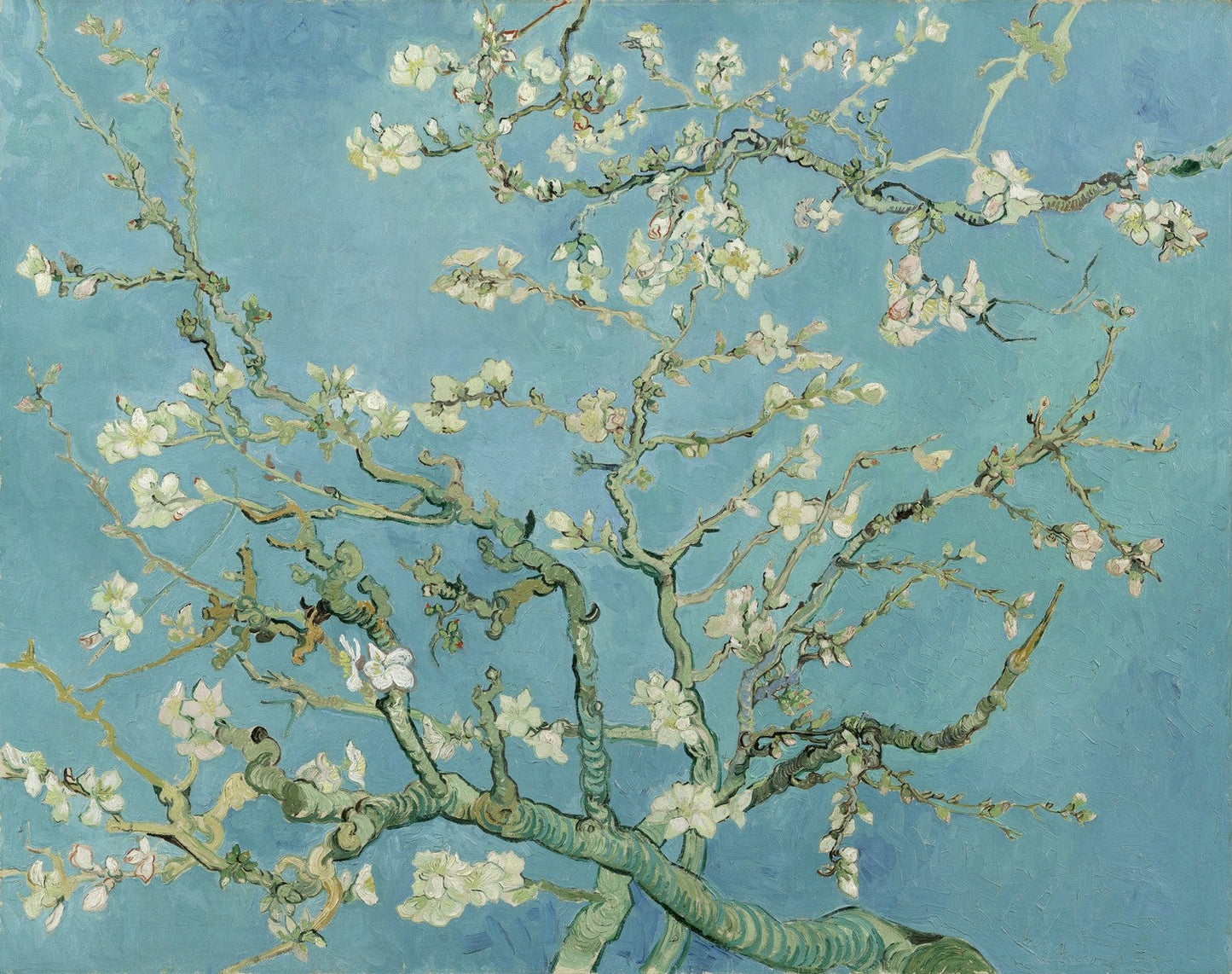 Almond Blossom by Vincent van Gogh