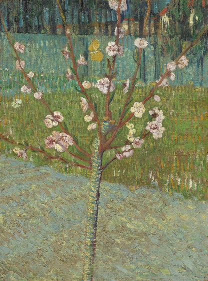 Peach Tree in Blossom by Vincent van Gogh