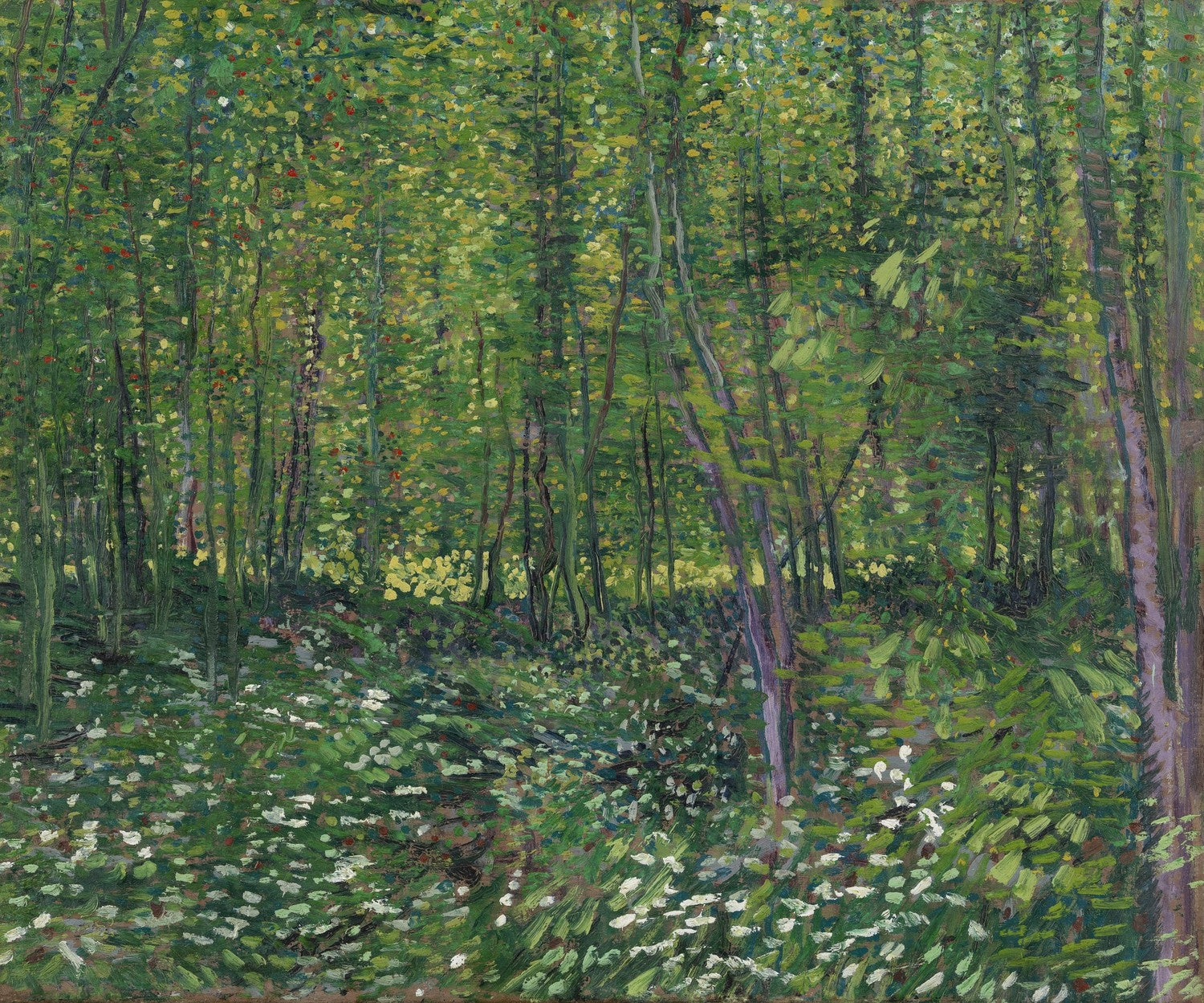 Trees and undergrowth by Vincent van Gogh