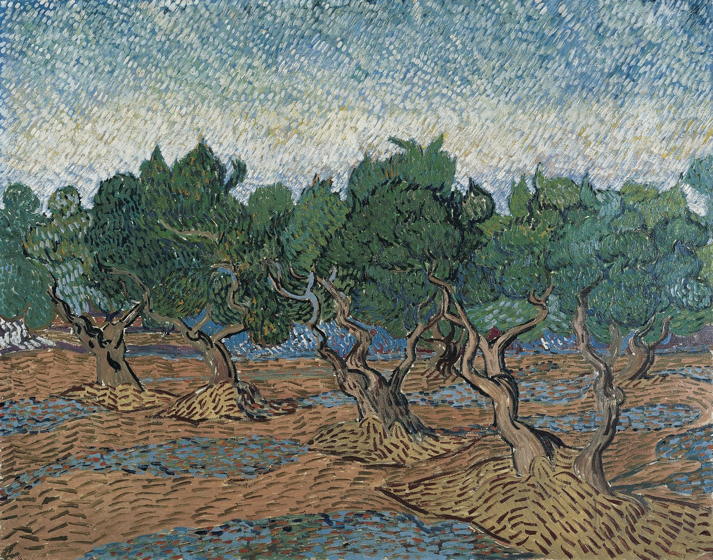 Olive Grove by Vincent van Gogh