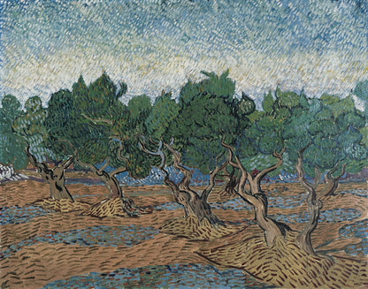 Olive Grove by Vincent van Gogh