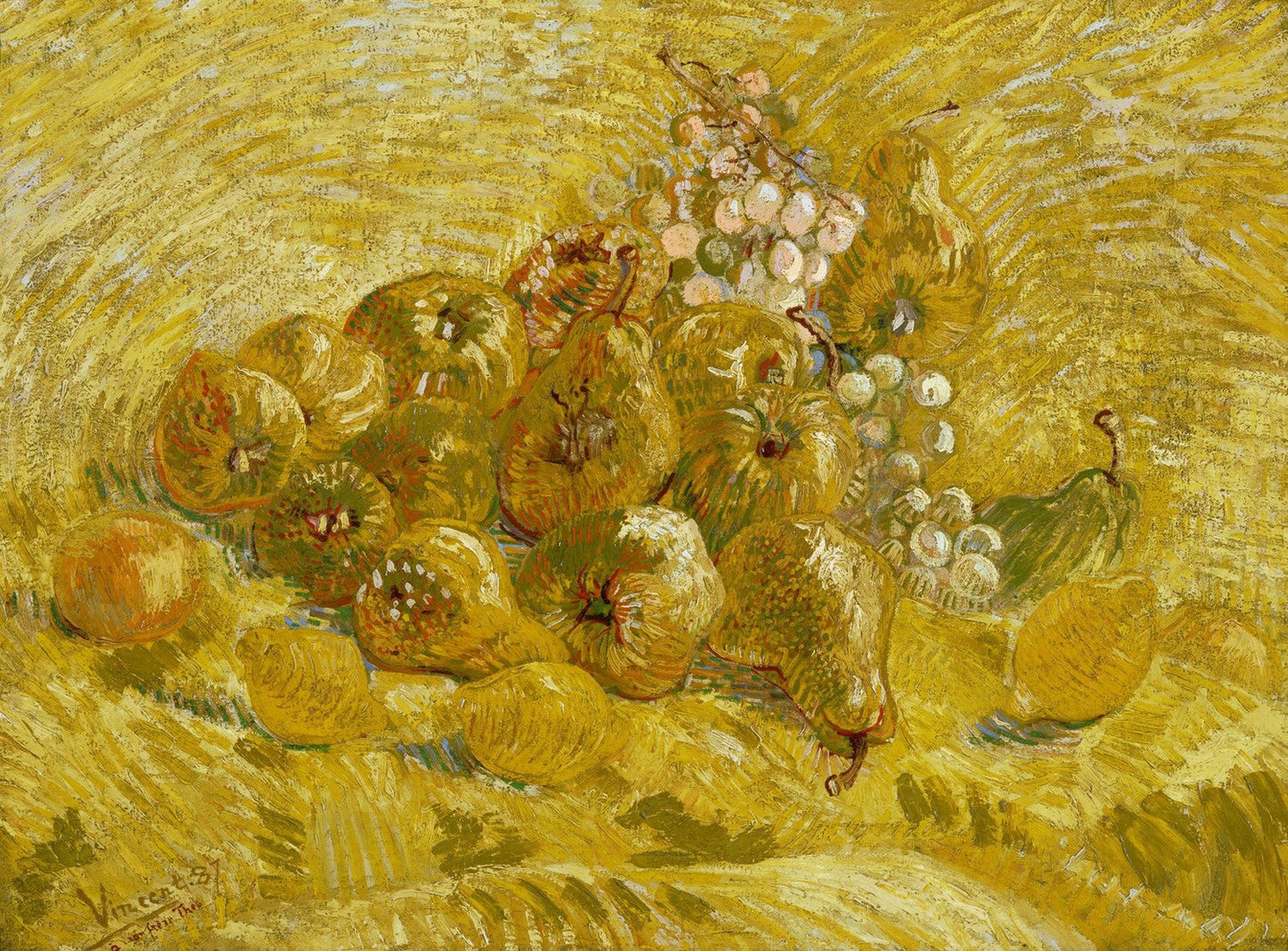 Quinces, lemons, pears and grapes by Vincent van Gogh