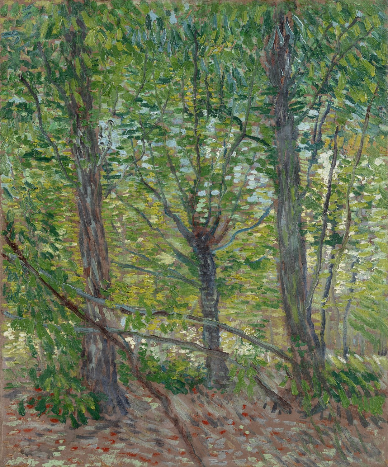 Trees by Vincent van Gogh