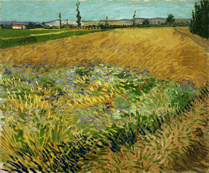 Wheatfield by Vincent van Gogh