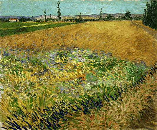 Wheatfield by Vincent van Gogh