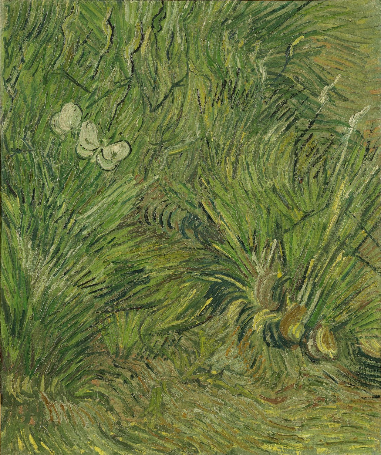 Garden with butterflies by Vincent van Gogh