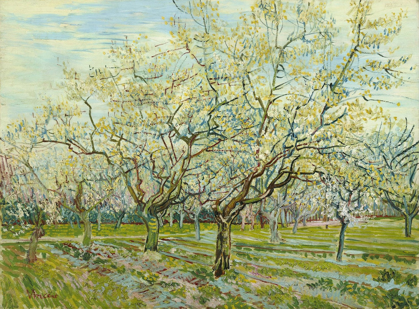 The white orchard by Vincent van Gogh