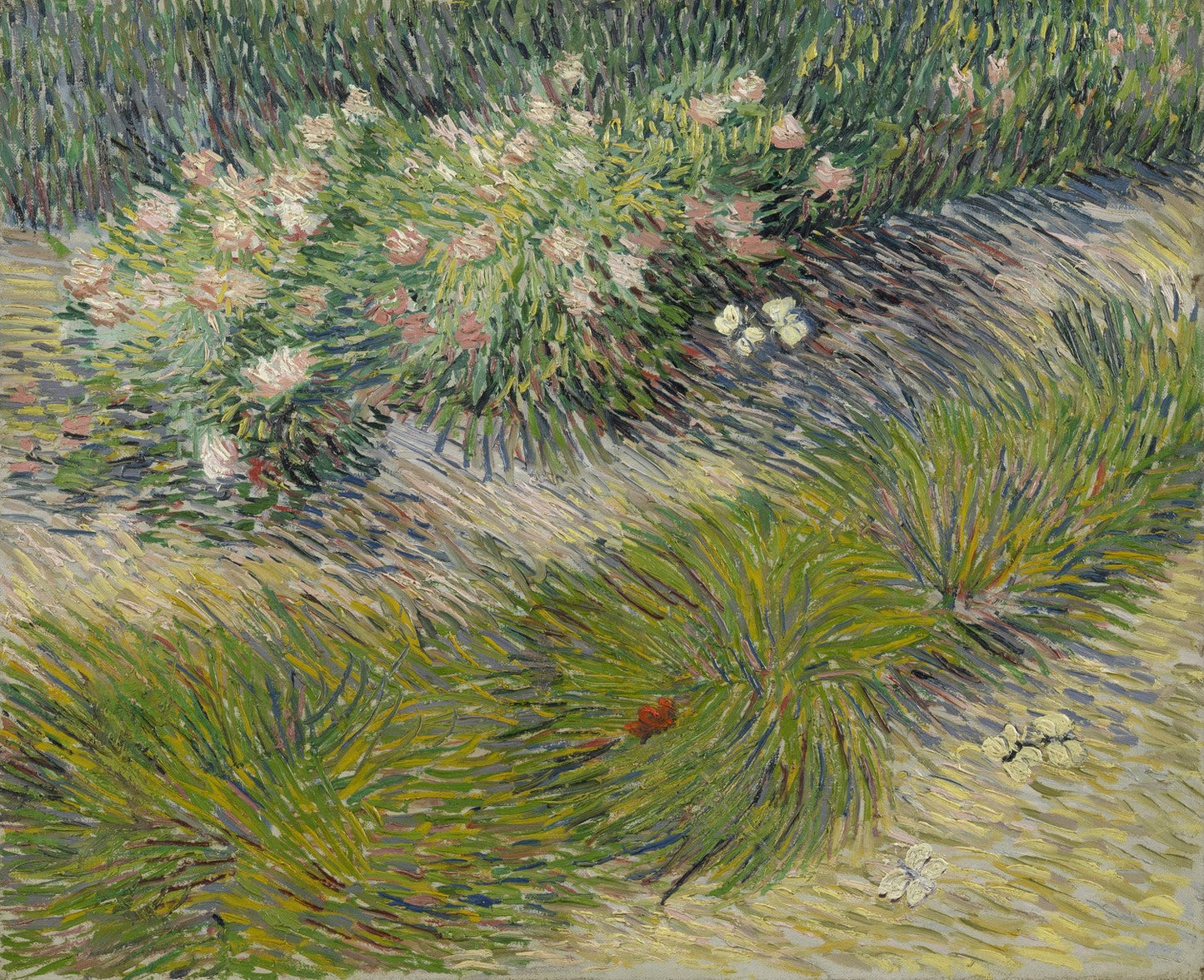 Grass and butterflies by Vincent van Gogh