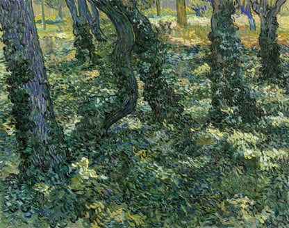 Undergrowth by Vincent van Gogh