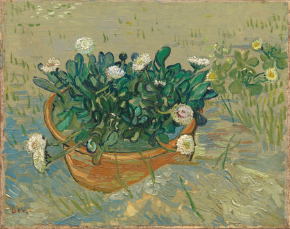 Daisies, Arles by Vincent van Gogh