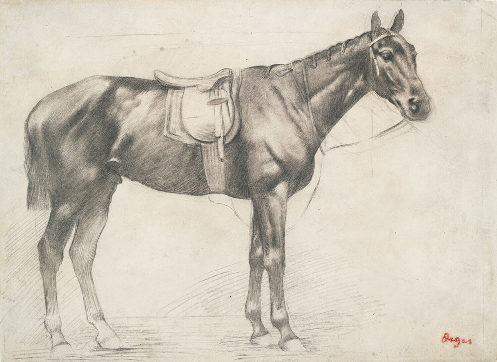 Horse with Saddle and Bridle